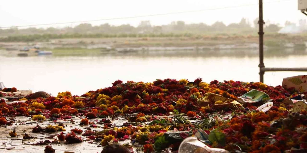 Floral waste is boosting circularity in the economy Floral waste is boosting circularity in the economy